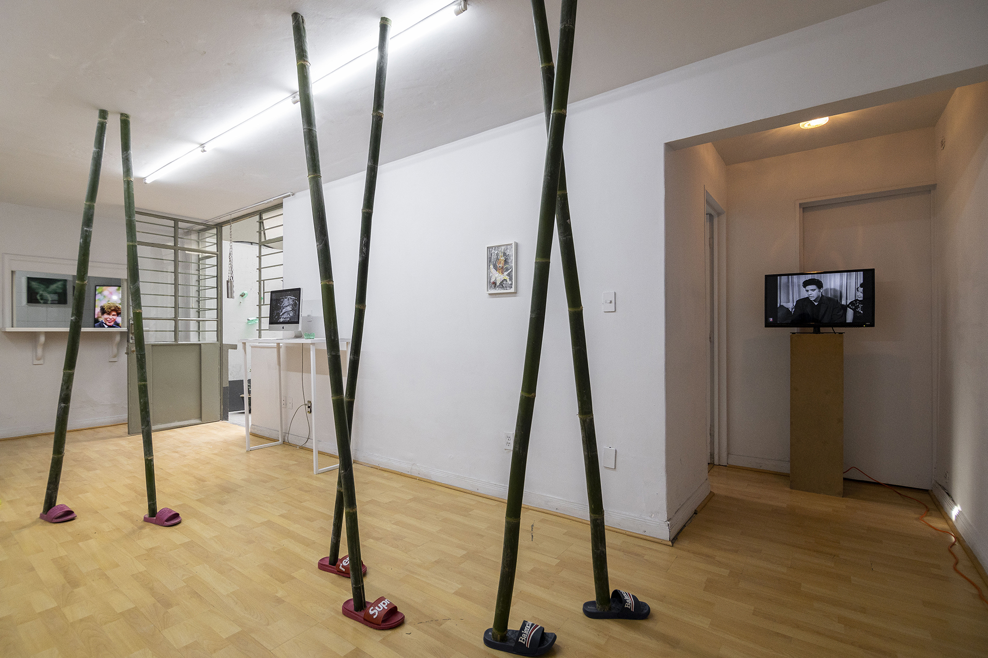 2022 02 Intelleaks, NASL, Mexico City — Installation View Main Room 01 — Jeronim Horvat